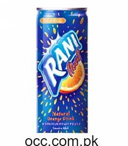 Rani Floats Orange – 240 ml.